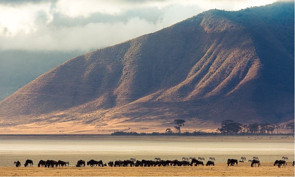 NGORONGORO CONSERVATION AREA