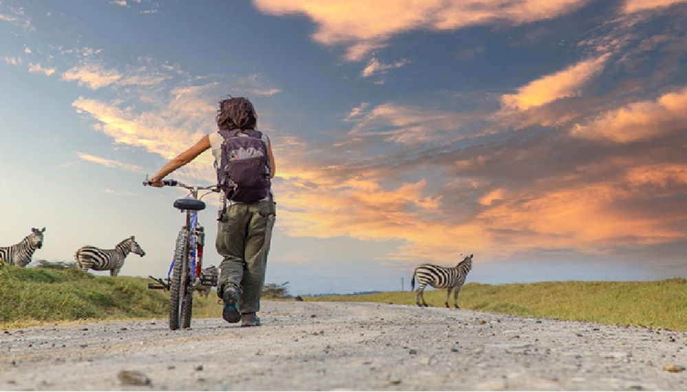 Mountain Biking Adventure