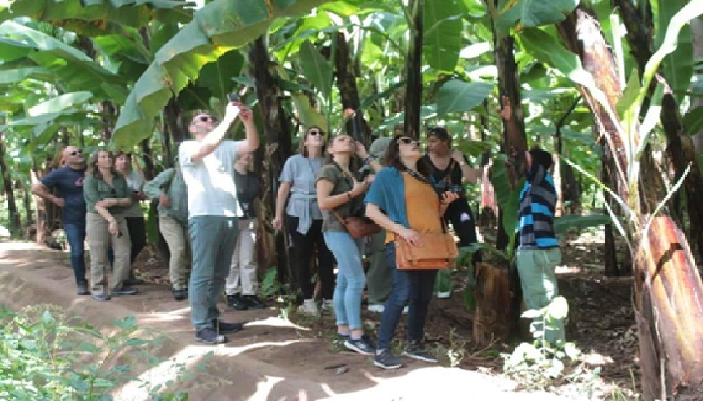 Cultural Village Tour